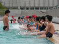 游泳培训班受欢迎