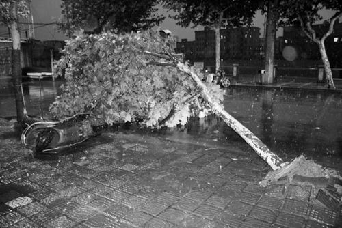 【图文】大雨给老百姓的生活带来不便