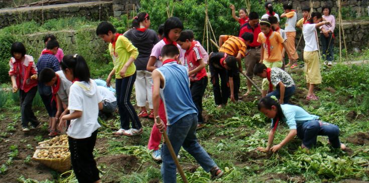 竹溪乡中心学校劳动实践基地喜获丰收