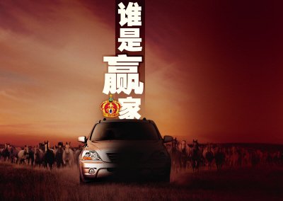 谁是赢家 2009中国汽车七大细分市场态势预测