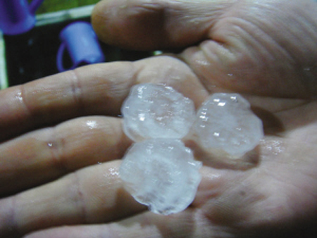 昨晚我市突降冰雹 行人纷纷脱衣包头