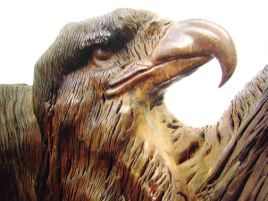 钱正涛:五十三岁又出征