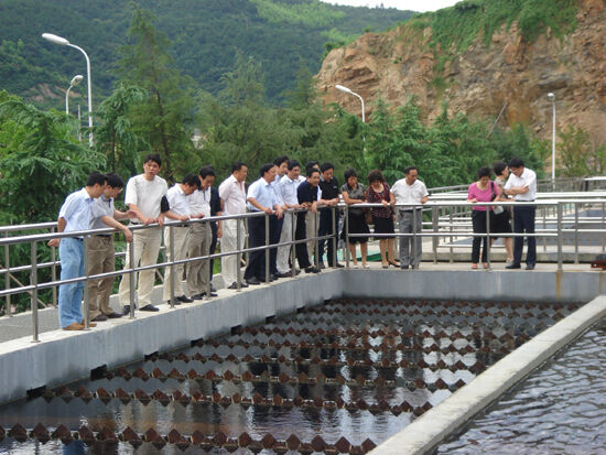 市政协视察污水处理厂