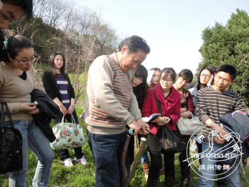 剡湖街道大学生村官学习黄花梨和枣树嫁接技