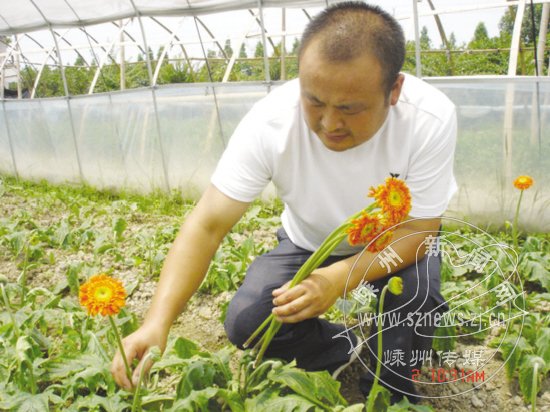兄弟联手 打造绍兴市最大的鲜花培育基地