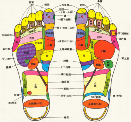 科学养生从脚起每天步行半小时