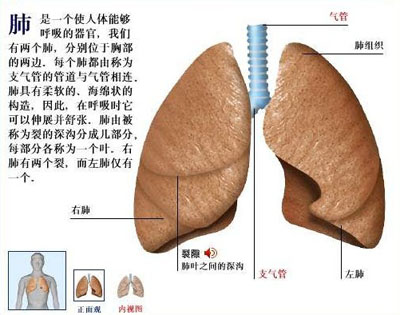 那么,到底身体的哪些部位最容易患上癌症呢?