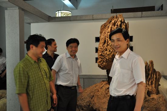 绍兴市副市长陈月亮一行参观艺术村