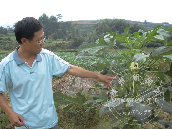 绍兴市嵊州市仙岩镇合溪坑村