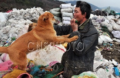 垃圾填埋场里的人狗音乐会