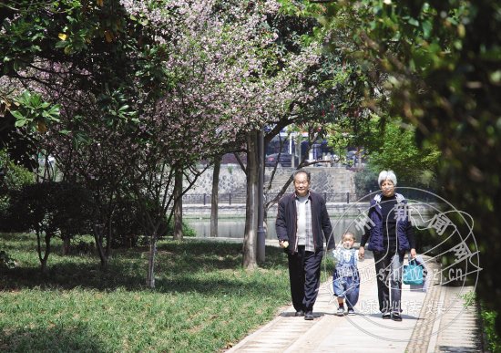 莫斯科人均绿地面积_人均适当游览面积(3)