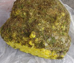 当心!所谓的云南野生蜂蜜是假货