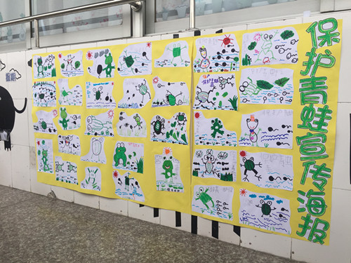 黄泽镇中心幼儿园中班主题《小蝌蚪找妈妈》系