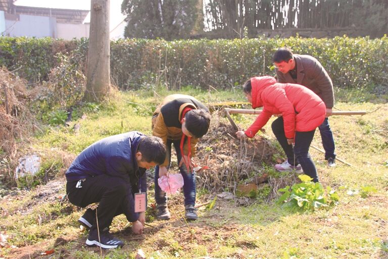 社会文化    此次植树节活动的树苗以金桔,无花果,脐橙,枇杷等果树苗