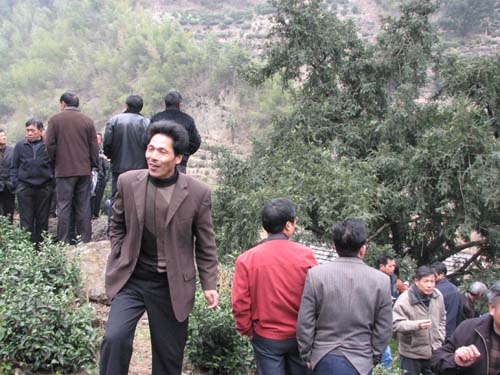 谷来镇举办香榧高产经验介绍会--嵊州新闻网