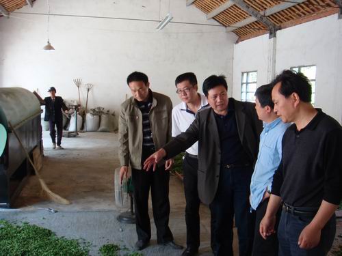 市林业局王正军局长到通源乡指导工作