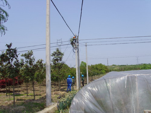 圖為工作人員作業現場.