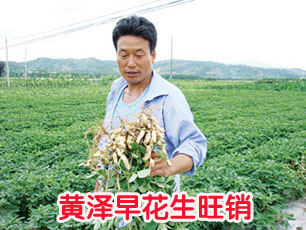 �����绨������