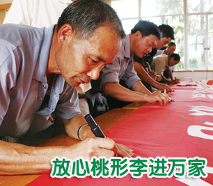 ��ͼ�ġ���������������