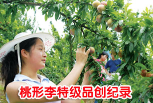 ��ͼ�ġ�ÿ����18Ԫ���������ؼ�Ʒ����¼