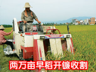 ��ͼ�ġ�����Ķ�絾�����ո�