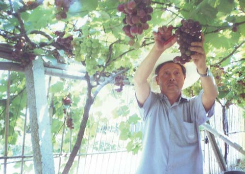 �������������ͼ��