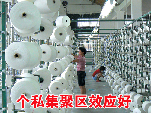 ��ͼ�ġ���˽������ЧӦ��