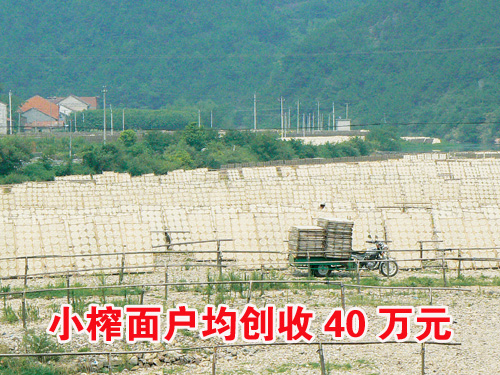 ��ͼ�ġ�ССե�棬��������40��Ԫ