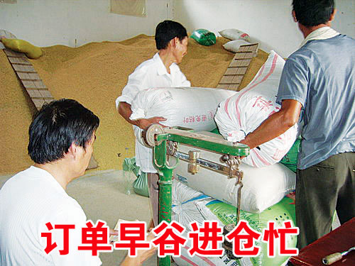 ��ͼ�ġ�������Ƚ���æ  ����ʵ�ݿ��ü�