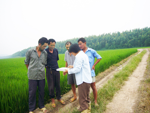 ��ͼ�ġ�����ũ���ɲ������γ������ͷ