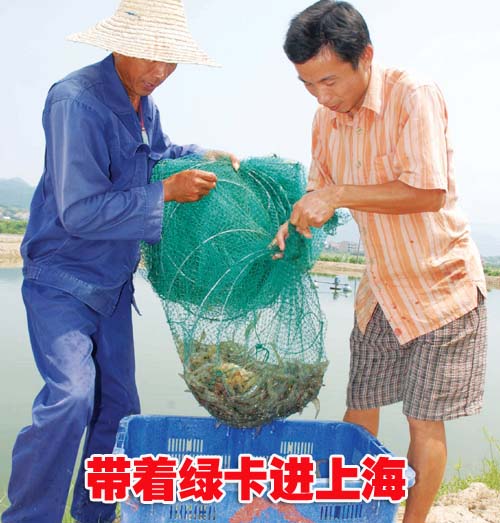 ��ͼ�ġ���ֳ�����޹��� �����̿����Ϻ�