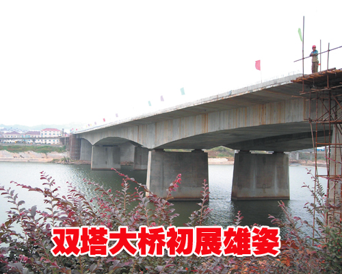 ��ͼ�ġ����ص㹤��˫�����ų�չ����