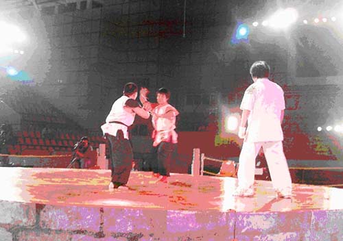 ��ͼ�ġ�����̫��ȭ���ࡰ���֡�