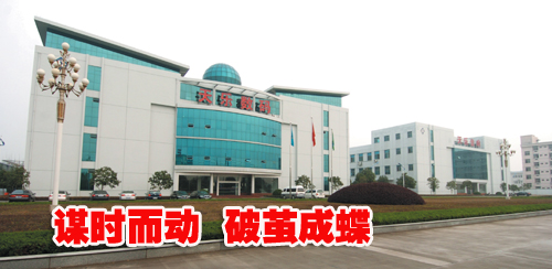 д�����ּ������۳�15��֮�ʡ��۹�ƪ