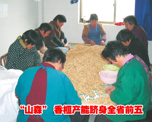 ��ͼ�ġ���ɽɭ�� ��鼲���  ����ȫʡǰ��