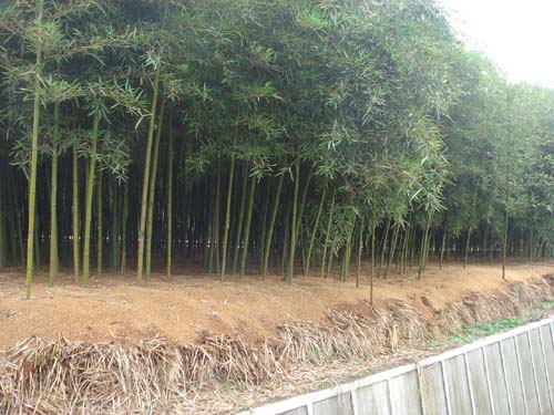 ��ͼ�ġ�������ӿڴ壺�ÿ�����Ч�����