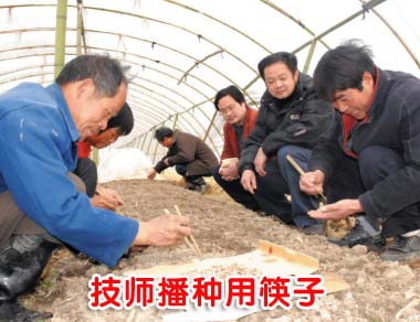 ����ũҵ���Ż�����չũҵ�ֺ󲹾ȴ�ʩ