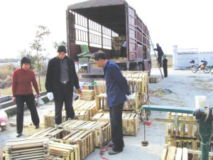 ��ͼ�ġ�������ҵ��ֳ�����ں�����æ