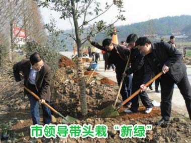 ��ͼ�ġ�ֲ���ڣ����쵼��ͷ�ԡ����̡�