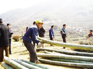 ��ͼ�ġ�ѩѹë�����к�����