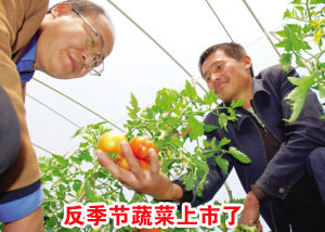 ��ͼ�ġ������ڴ����߲˿�ʼ��ժ����