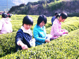 ��ͼ�ġ���ѽ��ѽ�ɴ��� �����Ͷ���ϰ��