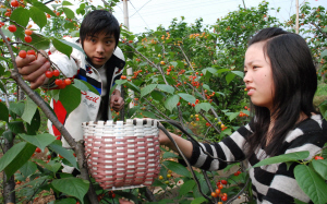 ӣ�ҡ����ϡ������� �ο͡����ۡ�����ժ