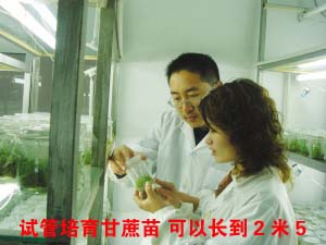 ��ͼ�ġ��Թ����������� ���Գ���2��5