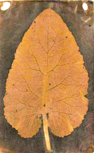 Ӣ����200����ʷ����Ƭ