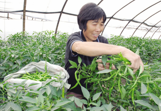 ��ͼ�ġ��ֿڽֵ�С��������