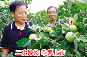 ��ͼ�ġ����μ޽� �Ϸ�ƻ������