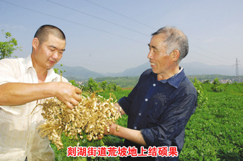 ��ͼ�ġ��ߺ��ֵ����µ��Ͻ�˶�� 