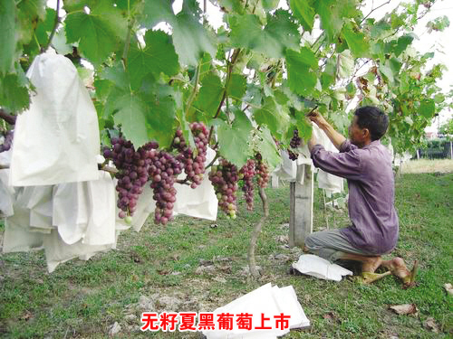 ��ͼ�ġ����࿲�������ĺ��������� 