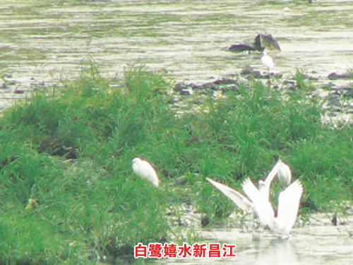 ��ͼ�ġ���Ⱥ������ˮ�²���